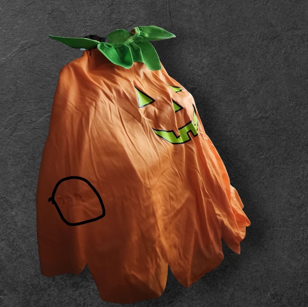 Target Pumpkin Costume for Kids - Orange and Green. Capelet & Headband. Has Flaw - Picture 4 of 9